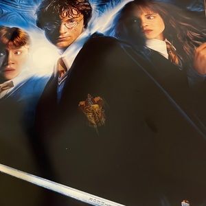 Harry Potter CHAMBER OF SECRETS 14 x 25in movie poster